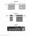 Fig. 02 - METHODS FOR PROVIDING CELLULAR LYSATES FROM CELL WALL-CONTAINING SAMPLES