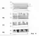Fig. 04 - Method and device for the formation of biological cell material