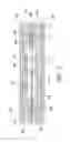 Fig. 06 - Microfluidic mixing and analytical apparatus