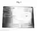 Fig. 02 - Method in depositing metal oxide materials