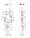 Fig. 02 - Doll toy