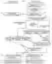 Fig. 01 - Multi-mode device registration