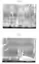 Fig. 03 - METHOD FOR MANUFACTURING TRANSPARENT POLYCRYSTALLINE ALUMINUM OXYNITRIDE