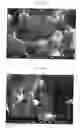 Fig. 16 - METHOD FOR MANUFACTURING TRANSPARENT POLYCRYSTALLINE ALUMINUM OXYNITRIDE