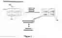 Fig. 02 - Nucleic acid sequencing and electronic detection