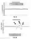 Fig. 04 - METHODS AND APPARATUSES FOR COMPARATIVE GENOMIC MICROARRAY ANALYSIS