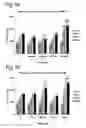 Fig. 02 - BARRIER INTEGRITY IN HIV PATIENTS