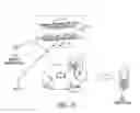 Fig. 08 - ORAL INSULIN COMPOSITION AND METHODS OF MAKING AND USING THEREOF