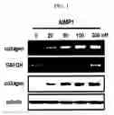 Fig. 02 - METHOD FOR STIMULATION COLLAGEN SYNTHESIS AND/OR KGF EXPRESSION
