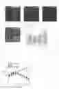 Fig. 02 - Agent for treating polyglutamine aggregation-caused disease or suppressing onset thereof