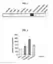 Fig. 02 - Method of treatment of diabestes or reduction in pancreatic beta-cells