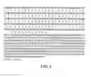 Fig. 02 - Inhibition of apoptosis-specific eIF-5A (