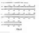 Fig. 09 - Inhibition of apoptosis-specific eIF-5A (