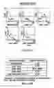 Fig. 44 - Inhibition of apoptosis-specific eIF-5A (