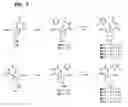 Fig. 08 - Treatment of EBV and KHSV Infection and Associated Abnormal Cellular Proliferation