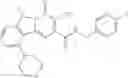 Fig. 203 - Bicyclic pyrimidinones and uses thereof