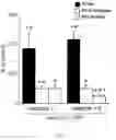 Fig. 02 - METHODS AND COMPOSITIONS FOR THE TREATMENT OF NEUROLOGICAL DISEASE