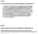 Fig. 06 - METHODS AND COMPOSITIONS FOR THE TREATMENT OF NEUROLOGICAL DISEASE