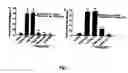 Fig. 02 - Chronic inflammation and transplantation