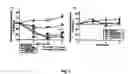 Fig. 06 - Chronic inflammation and transplantation