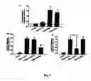 Fig. 07 - Chronic inflammation and transplantation