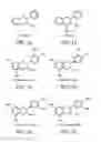 Fig. 02 - PHARMACEUTICAL COMPOSITION FOR TREATING HEPATITIS B VIRUS AND HEALTH FOOD PRODUCT HAVING HEPATITIS B VIRUS INHIBITING EFFECTS