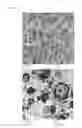 Fig. 02 - Propylene-based polymer and method for producing the same, and propylene-based resin composition