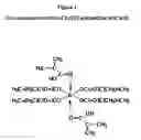 Fig. 02 - Synthesis with metal methacrylates as comonomers