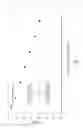 Fig. 02 - Transparent articles prepared from thermoplastic compositions having high flow and ductility, and method of preparing articles