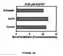 Fig. 22 - Method, composition and kit for detecting phosphatidylserine (PS) on cell membranes
