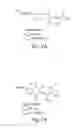 Fig. 02 - Environmentally sensitive fluorophores