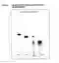 Fig. 02 - Methods of preparing cannabinoids from plant material
