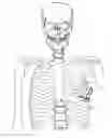 Fig. 01 - SURGICAL ACCESS ASSEMBLY