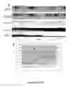 Fig. 20 - SYSTEMS AND METHODS FOR MEASURING BRAIN ACTIVITY
