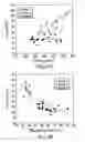 Fig. 03 - Evaluating Cardiac Function With Dynamic Imaging Techniques and Contrast Media