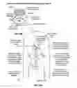 Fig. 07 - Catheter imaging probe and method