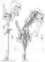 Fig. 02 - Surgical instrument