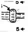 Fig. 09 - Renew compression screw