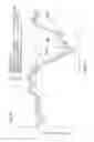 Fig. 07 - Bank angle detecting device and headlight device for motorcycle