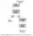 Fig. 02 - MACHINE CONDITION ASSESSMENT THROUGH POWER DISTRIBUTION NETWORKS