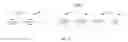 Fig. 18 - Recipient control of source audio identifiers for digital communications