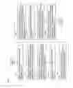 Fig. 09 - PROOF VERIFICATION SYSTEM, PROVING DEVICE, VERIFYING DEVICE, PROOF VERIFICATION METHOD, AND PROGRAM