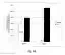 Fig. 04 - Transgenic mouse models for diseases caused by mtDNA mutations and related methods