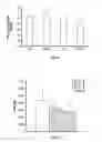 Fig. 09 - Conditional Mst overexpressing construct and conditional myostatin overexpressing transgenic mouse