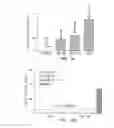 Fig. 02 - ANIMAL MODEL SIMULATING NEUROLOGIC DISEASE