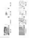 Fig. 04 - ANIMAL MODEL SIMULATING NEUROLOGIC DISEASE