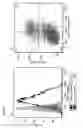 Fig. 09 - COMPOSITIONS AND METHODS FOR TREATING AND DIAGNOSING CANCER
