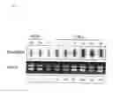 Fig. 04 - Use of genes encoding membrane transporter pumps to stimulate the production of secondary metabolites in biological cells