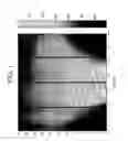 Fig. 02 - Washcoated particulate filter substrate