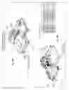 Fig. 40 - Methods and apparatus for determining deformation response